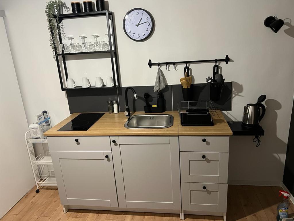 4 Stars Apartments Near Airport فيليكا غوغيتْسا المظهر الخارجي الصورة